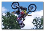 FMX - Zürifäscht