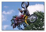 FMX - Zürifäscht