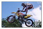 FMX - Zürifäscht