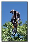 FMX - Zürifäscht