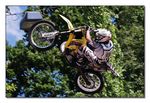 FMX - Zürifäscht