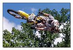 FMX - Zürifäscht