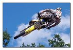 FMX - Zürifäscht