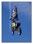 FMX - Zürifäscht