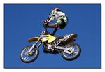 FMX - Zürifäscht