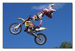 FMX - Zürifäscht