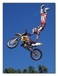 FMX - Zürifäscht