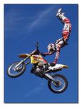 FMX - Zürifäscht