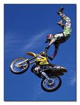 FMX - Zürifäscht