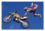 FMX - Zürifäscht