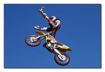FMX - Zürifäscht