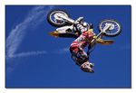 FMX - Zürifäscht
