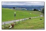 Uetliberg - S10 der Sihltal-Zürich-Uetliberg-Bahn